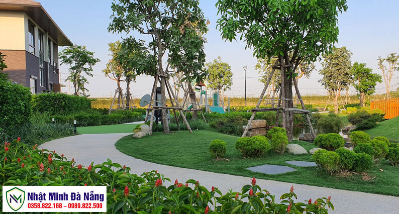 Vườn cây cảnh xung quanh nhà
