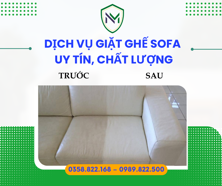 Hình 10