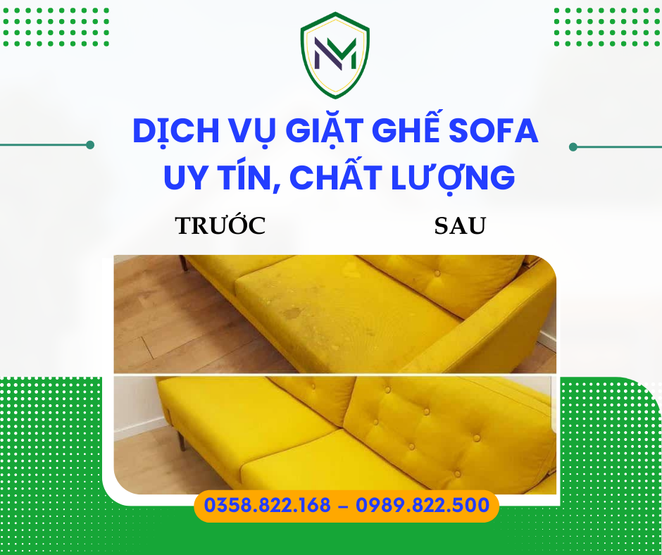 Hình 11